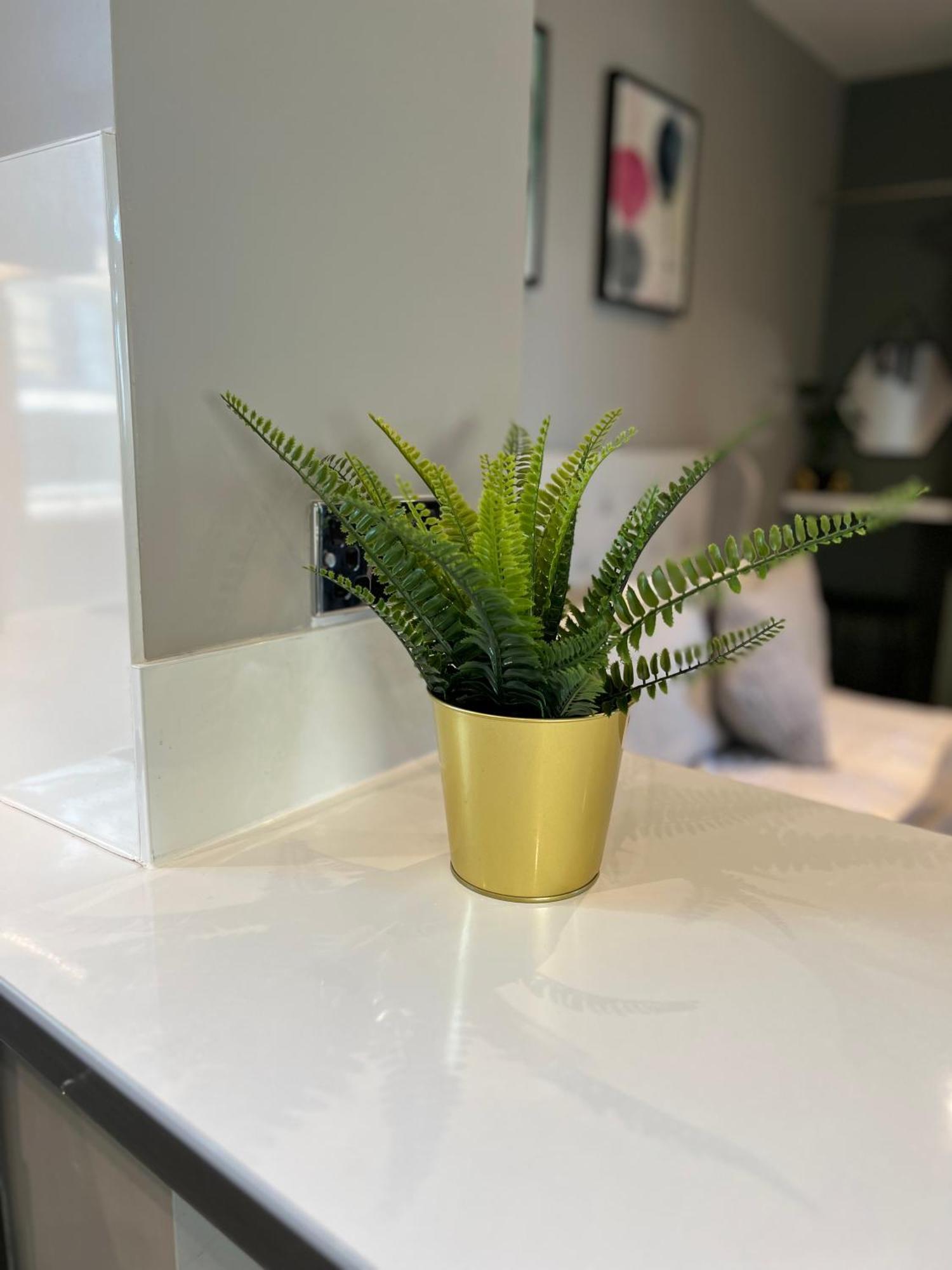 Peaceful & Stylish Brighton Studio Apartment 外观 照片